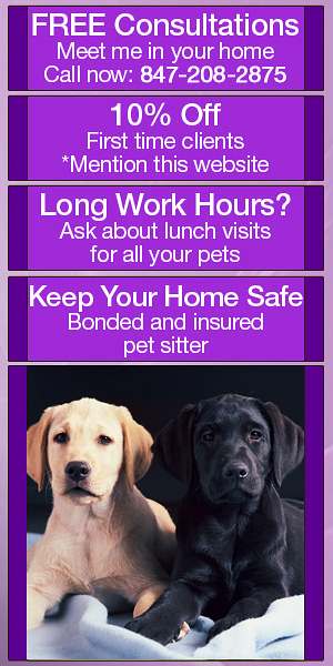 dogs special offer banner